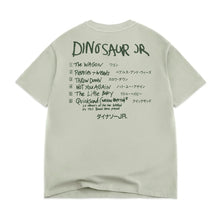 Load image into Gallery viewer, Color Bars - Dinosaur Jr Import Tee - Sage
